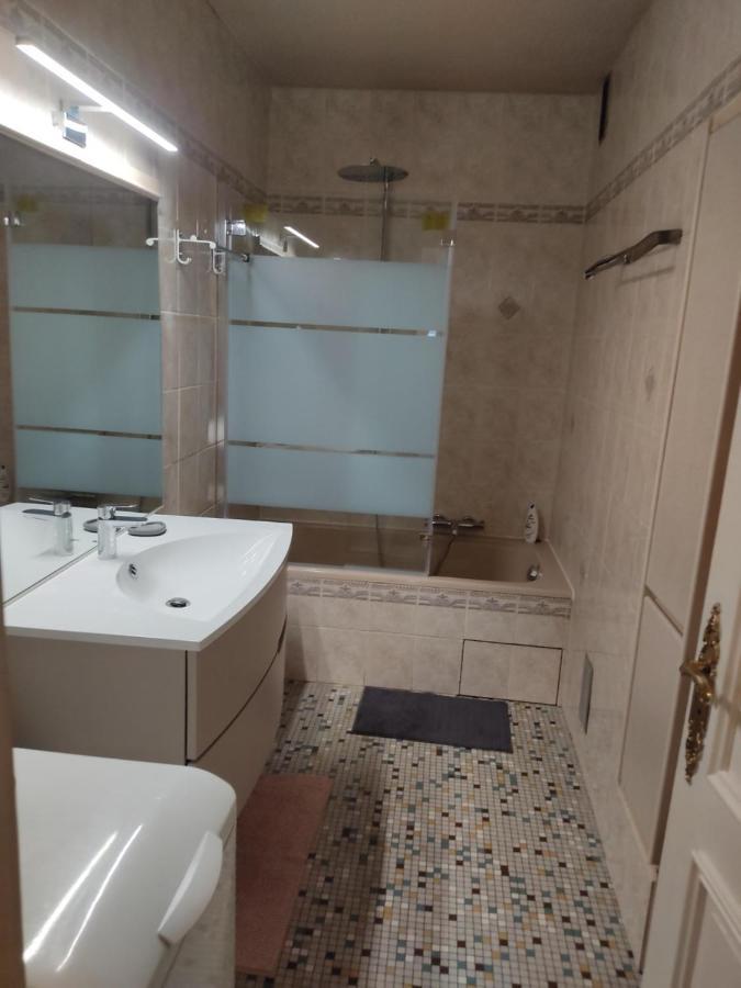 Charmant Appartement Au Bord Du Thiou - Annecy Exterior foto